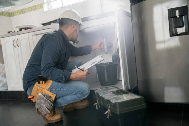 Best Commercial Plumbing Services  in Dillsboro, IN