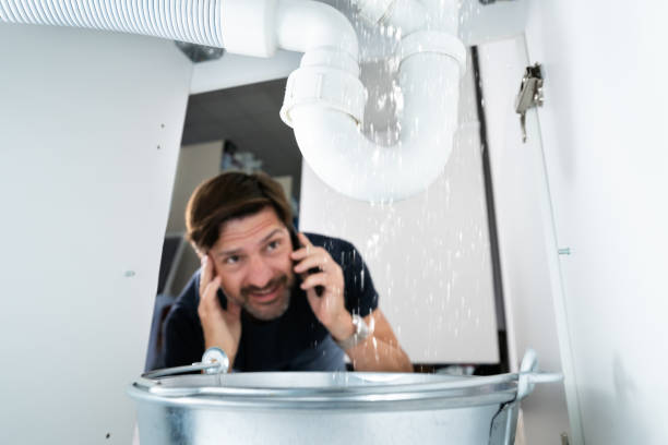 Best Sewer Line Repair  in Dillsboro, IN